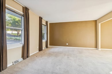 5112 Main St, Lisle, IL 60532 - photo 4