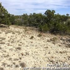 0 Fawn River Dr unit ACT6298542, Spring Branch, TX 78070 - photo 4