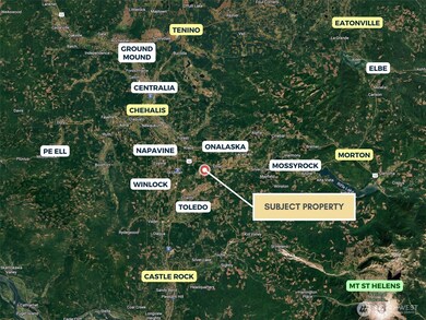 298 Boone Rd, Toledo, WA 98591 - photo 6