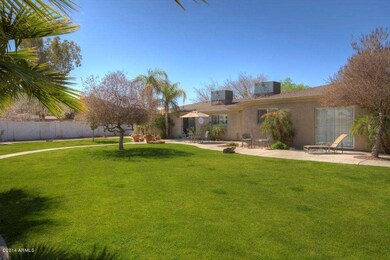 Large grassy yard