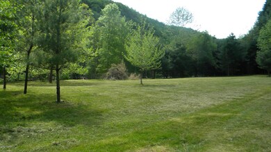 866 Pennsylvania 590, Lackawaxen, PA 18435 - photo 7