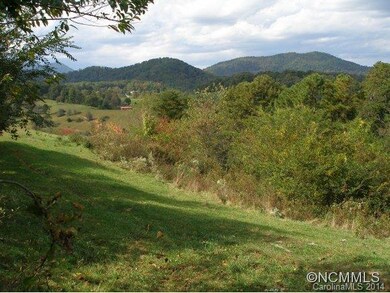 52 Hayes Cove Rd, Leicester, NC 28748 - photo 4