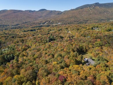 0 Billings Hill Rd unit lot 38, Stowe, VT 05672 - photo 7