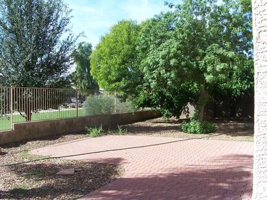 West side of the rear yard