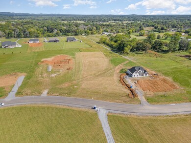 This area boasts wonderful schools and peaceful country lifestyle while still remaining close to the heart of downtown Murfreesboro just 30 minutes away.