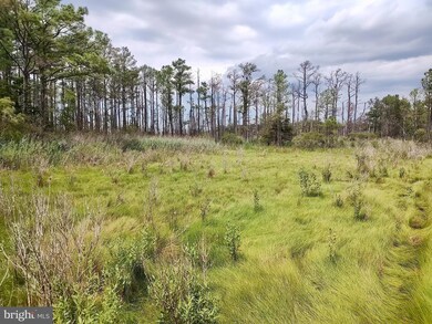 2257 Wingate Bishops Head Rd, Wingate, MD 21675 - photo 6