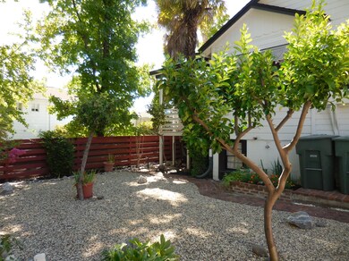 Backyard-view 4