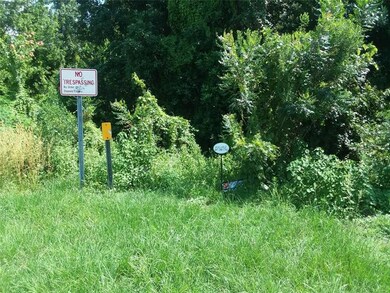 0 Bruns St unit S5074093, Saint Cloud, FL 34771 - photo 4