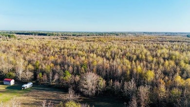 172 Beach Rd, Camden, AL 36726 - photo 4