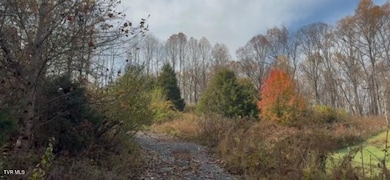 1030 N Paperville Rd, Bristol, TN 37620 - photo 4