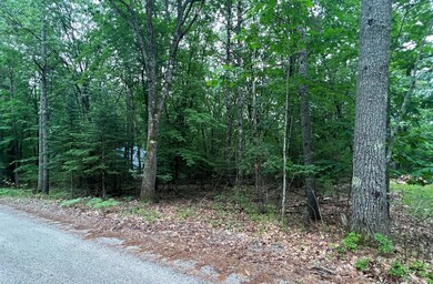 pic 1