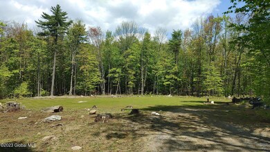 34 Lincoln Mountain Rd, Greenfield Center, NY 12833 - photo 4