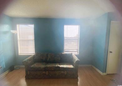 Living area with wood finished floors, healthy amount of natural light, baseboards, and a textured ceiling