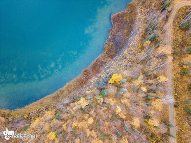 10331 N Little Lonely Lake Rd, Willow, AK 99688 - photo 4