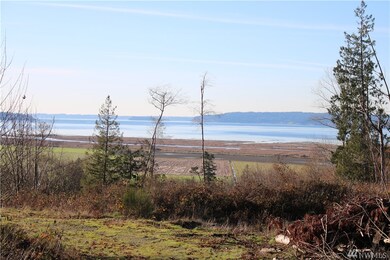 0 Sande Rd, Stanwood, WA 98292 - photo 3