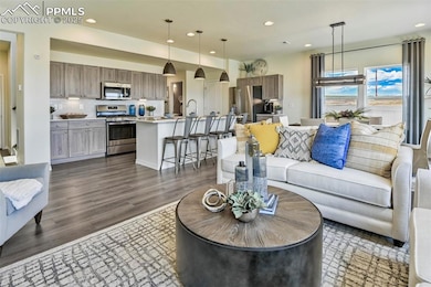 Living area featuring recessed lighting and dark wood-style flooring
