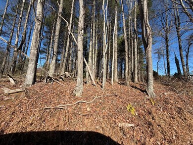 4306 Keno Rd, Laurel Fork, VA 24352 - photo 6