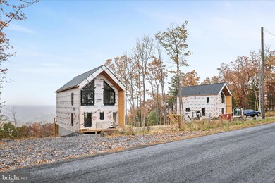 4101 and 4039 Supinlick Ridge Rd, Mount Jackson, VA 22842 - photo 7