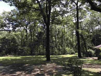 4726 Crawfordville Hwy, Crawfordville, FL 32327 - photo 5