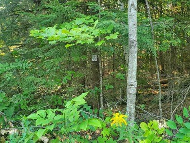 Lot 3 Carriage Rd, Bridgewater, NH 03222 - photo 7