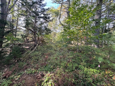 0 Main Rd, Phippsburg, ME 04562 - photo 3