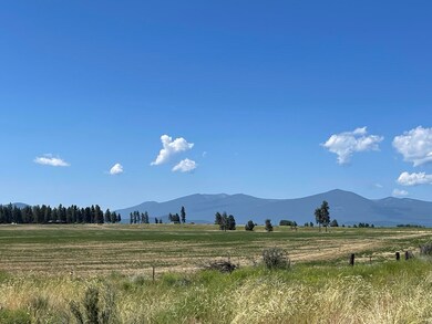 IMG_3822