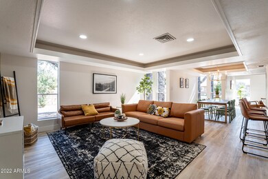 Hackamore-5
