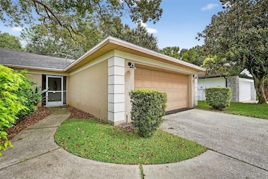 3602 Player Dr, New Port Richey, FL 34655 - photo 3