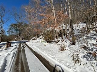IMG_20250114_122211