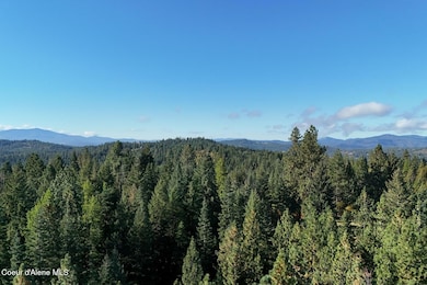 Drone View 2