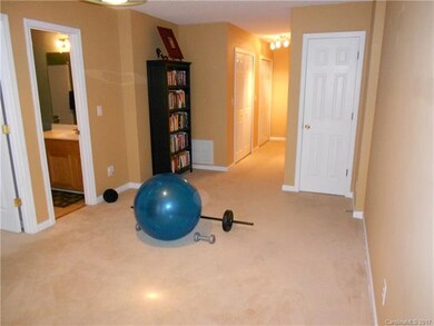 Downstairs Bonus Room, Lots of Storage!