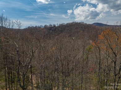 187 Arcadia Falls Way unit 77, Black Mountain, NC 28711 - photo 5