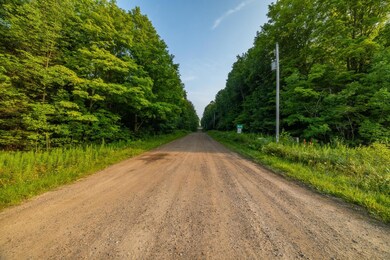 LOTS 6/7 Tower Rd, Crandon, WI 54520 - photo 5