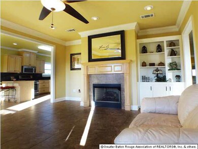 Living room with fireplace and built-ins