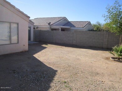 Back Yard 2