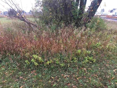 TBD Atkins & Division Roads, Petoskey, MI 49770 - photo 2