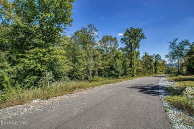 167 Canter Way, Lenoir City, TN 37771 - photo 4