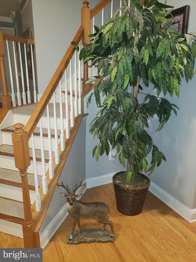 41913 Sara Ann Ct, Leonardtown, MD 20650 - photo 3