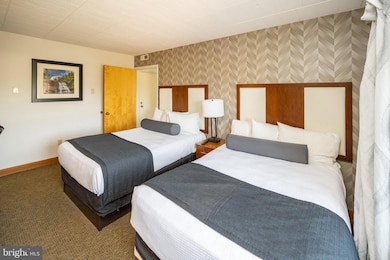 290 Marsh Hill Rd unit 501L, Mc Henry, MD 21541 - photo 4