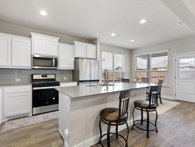 2432 Moon Ranch Dr, Weatherford, TX 76087 - photo 5