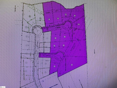 00 Ashley Ln, Laurens, SC 29360 - photo 3