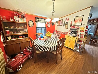 3054 Highway F, Salem, MO 65560 - photo 4