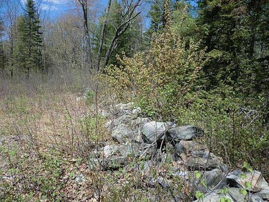Land/Lot.