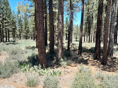 202 Village Trail unit Roark Lot 036, Portola, CA 96122 - photo 6