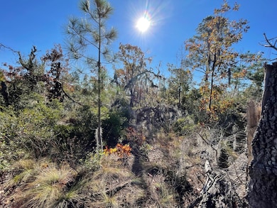 TBD Lot #18 Sea Oaks Dr, Perry, FL 32348 - photo 3