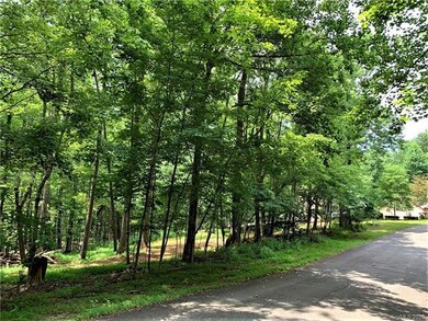 37 Wolf River Ln unit 37, Lake Lure, NC 28746 - photo 3