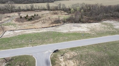 6645 160th Place, Cedar Creek Township, IN 46356 - photo 4