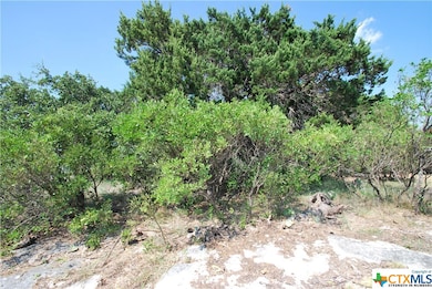 16191 Brazos Ct, Temple, TX 76502 - photo 6