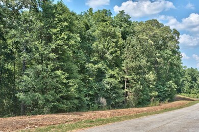 1190 Waterstone Dr, Madison, GA 30650 - photo 2