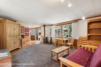 40 Aspen Village Rd, Aspen, CO 81611 - photo 4